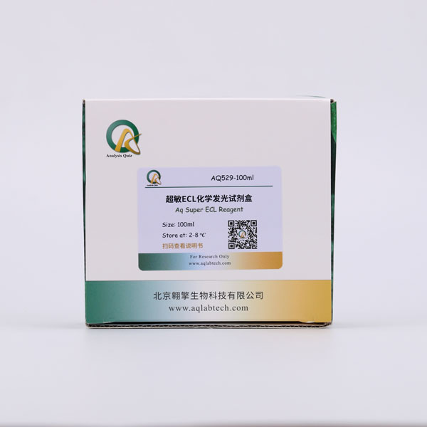 AQ529 超敏ECL化學發光試劑盒（Aq Super ECL Reagent）